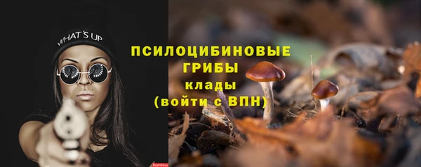 винт Медногорск