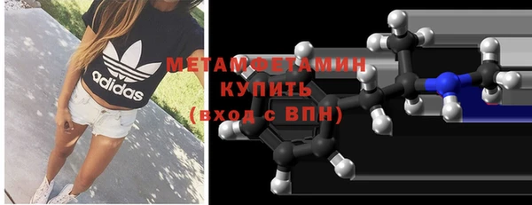 прущие грибы Магас