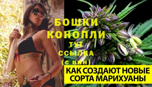 метадон Медвежьегорск