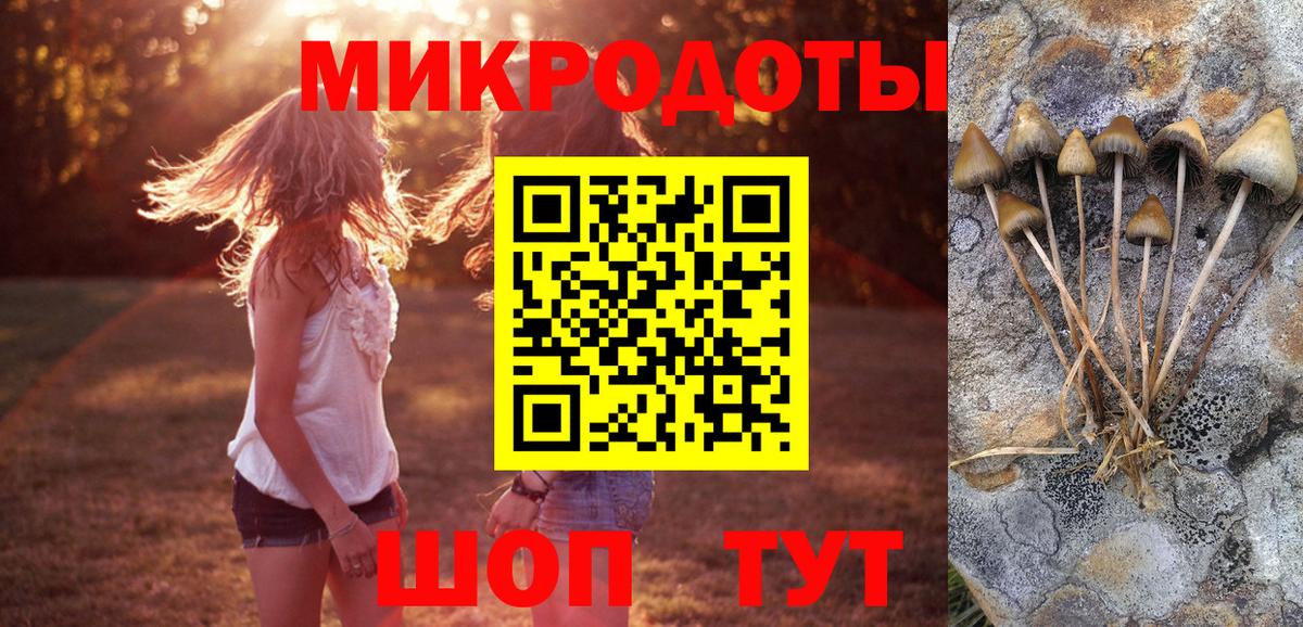 Галлюциногенные грибы Psilocybine cubensis Урай